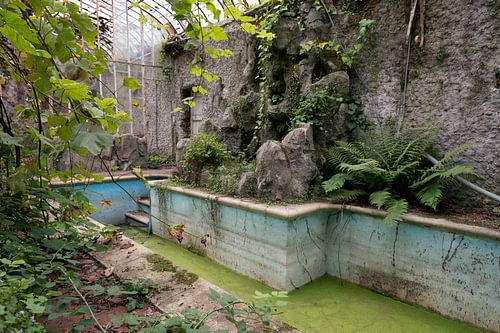 Verlaten  serre met zwembad