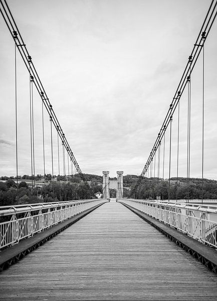 The quail bridge - Cruseilles - France by Nicolas LEMAIRE