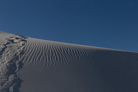 Spoor in het zand van The Raw World Atlas