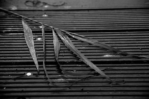 Silence after the storm