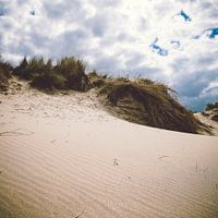Duinen