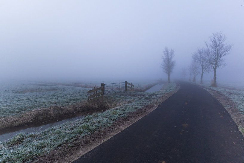 Der Groeneweg zwischen HHwaard und Oterleek im Nebel 3 von peterheinspictures