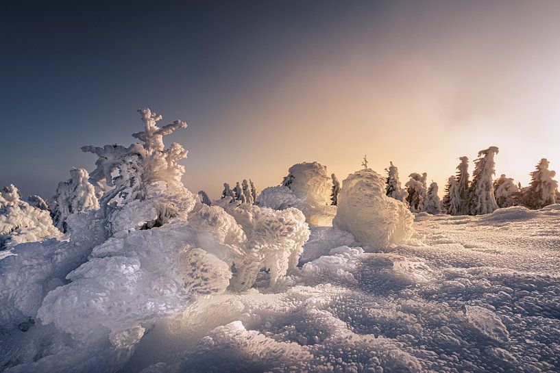 Ice Age by Steffen Henze