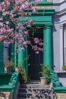 Blooming Notting Hill