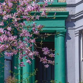 Blooming Notting Hill van Eline Huizenga