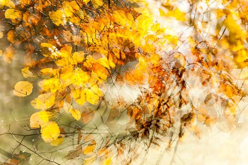 Wirbelwind durch die Blätter, es ist Herbst von Margo Schoote