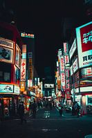 Die Lichter von Shinjuku