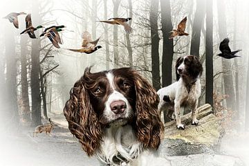 Tableau de chiens de chasse Épagneul springer anglais