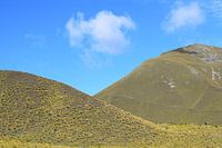Landscape new zealand