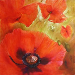 Vier mal Mohn