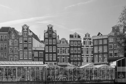 Flower Market Amsterdam