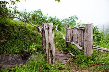 Een houten brug aan een klein beekje