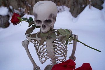 Eeuwige liefde skelet met rode roos in witte sneeuw