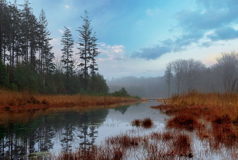 Misty autumn forest with lake by Peter Bolman