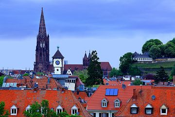 Freiburg city roofs
