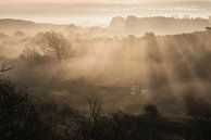 Lever de soleil sur la brume matinale sur Fotografie Egmond Aperçu
