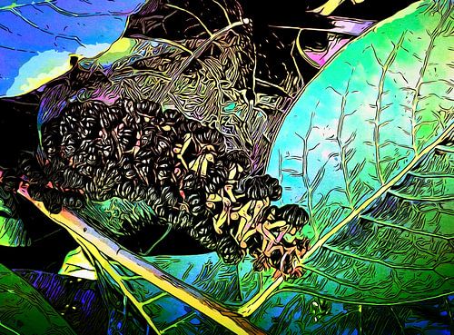 BLOEMEN MAGIE, motief 16