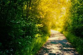 Hiking trail along the Ilm by Mixed media vector arts