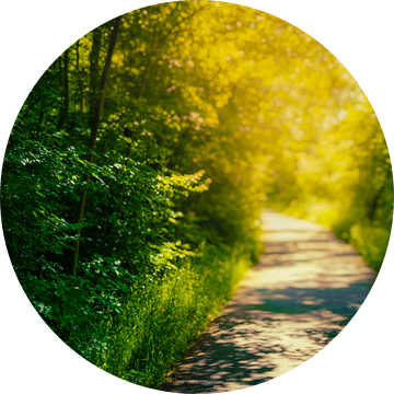 Wandelpad langs de Ilm