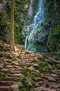 Der Burgbach-Wasserfall, Schwarzwald, Deutschland von Henk Meijer Photography Miniaturansicht