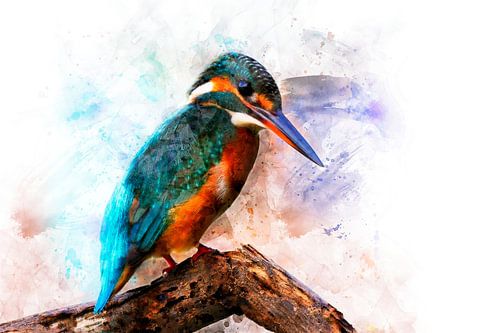 Kingfisher on branch (watercolour painting)