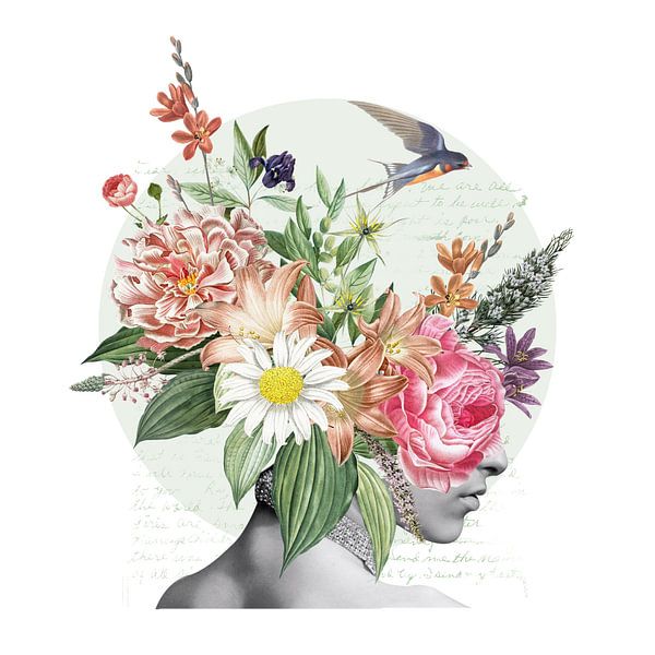 a Collection of Life by Marja van den Hurk