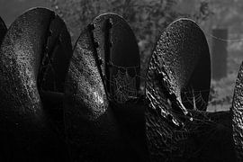 Transportas van een Amerikaanse watermolen van Henk Meima