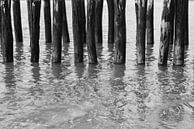 Pileheads Zeeland by Roland de Zeeuw fotografie thumbnail
