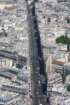 Paris from above by Simone Meijer