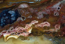 Versteend hout nr 5 van Franke de Jong