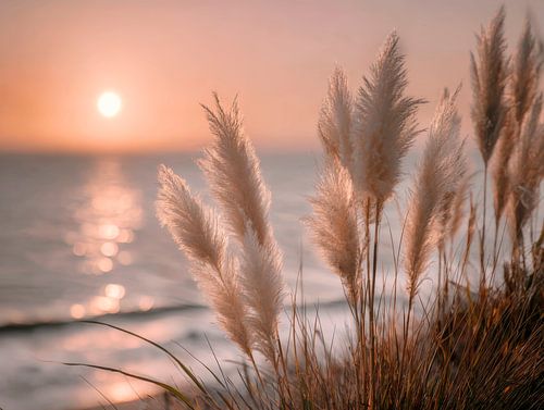 Kustdromen in de avondbries