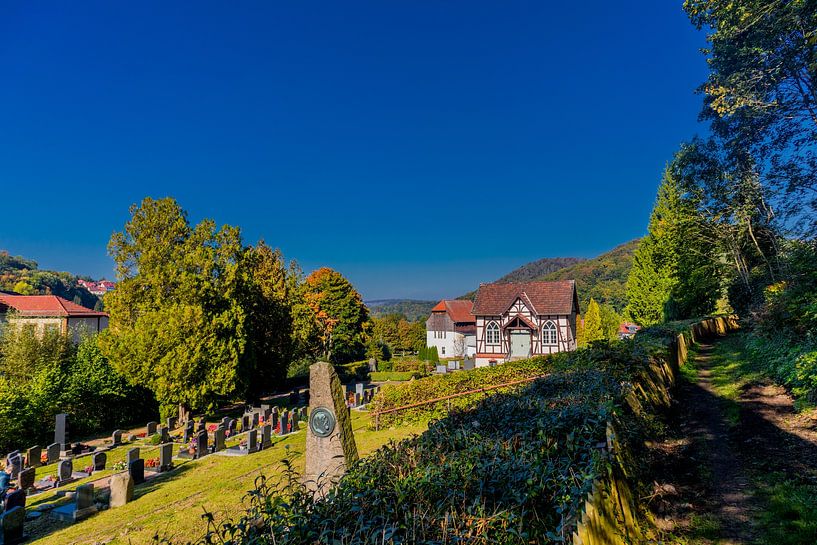 Castle ruin Scharfenburg in autumnal dress by Oliver Hlavaty