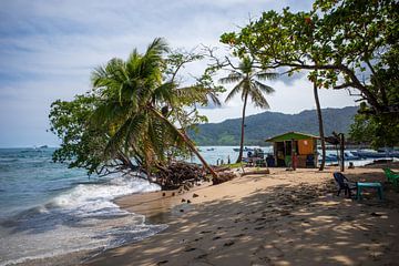 Palmbomen op strand van Capurganá Colombia van Sonja Hogenboom