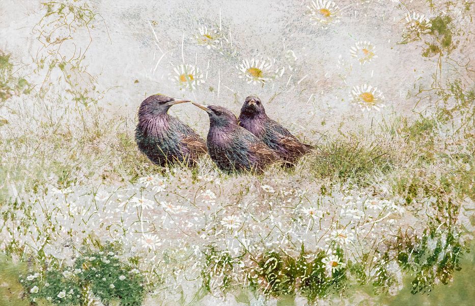 Onderonsje in het gras