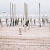 Palendorp petten aan het strand van Lindy Schenk-Smit