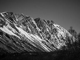 Bergen von Michel Meijer