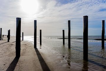 Piles in Petten aan Zee