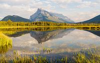 Vermilion Mirror