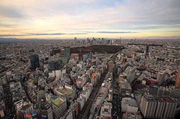 Foto van Tokyo vanaf Shibuya Stream van Hans van Oort