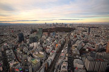 Tokyo Skyline – Uitzicht over Shinjuku