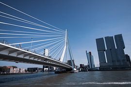 Rotterdam by Roger Hagelstein