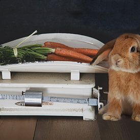 Süßes Häschen und Karotten auf einer Vintage-Waage von Tonny Verhulst