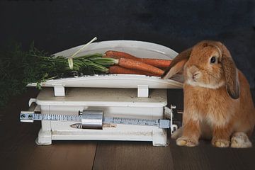Süßes Häschen und Karotten auf einer Vintage-Waage von Tonny Verhulst