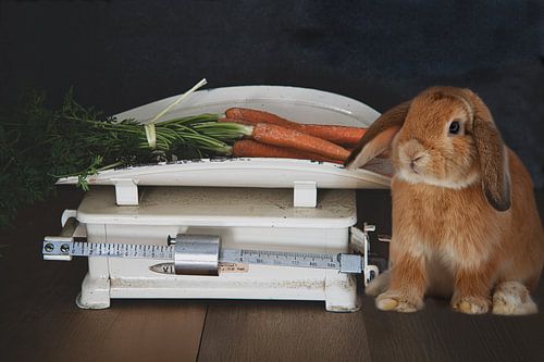 Süßes Häschen und Karotten auf einer Vintage-Waage von Tonny Verhulst