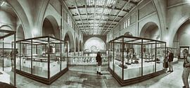 Musée de l'Égypte antique au Caire sur Hermann Mock