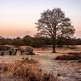 Zonsopkomst hunebedden van Dafne Vos