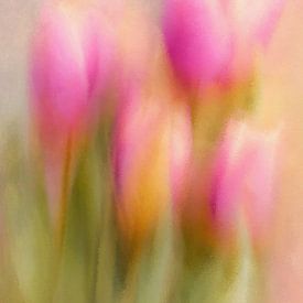 Tulips in a Soft Haze of Colour by Whale & Sons