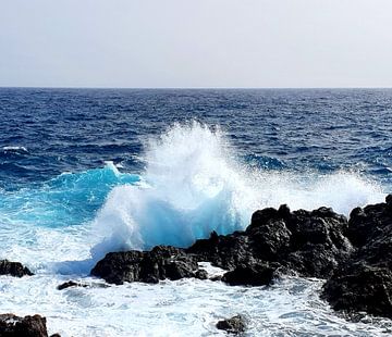 The surf #1 by zam art