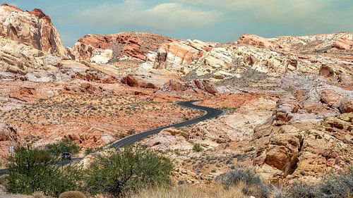 De onbekende weg: Een omhelzing van de woestijn