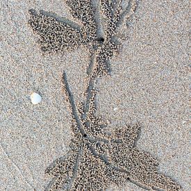 Kunst bij eb op het strand, gemaakt door moeder natuur. van Eyesmile Photography